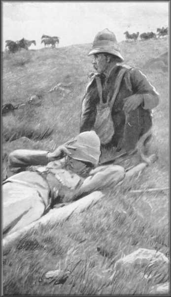 AMBULANCE WORK ON THE FIELD.