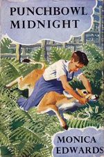 Punchbowl Midnight - Book Cover Punchbowl Midnight - Book Cover