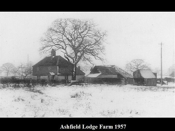 Click to see Next Slide