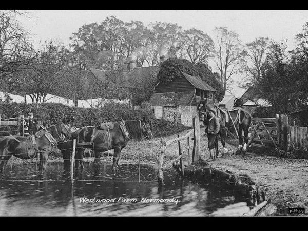 Click to see Next Slide