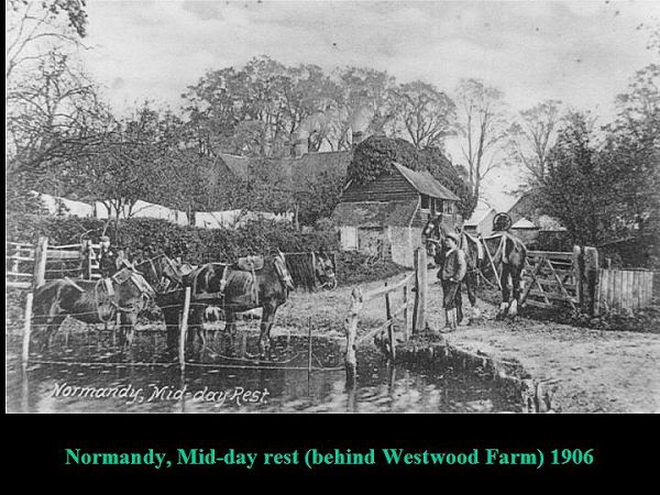 Click to see Next Slide