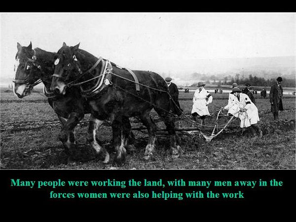 Click to see Next Slide